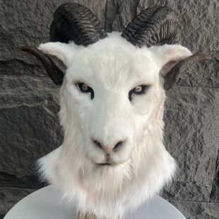 写实系兽头黑山羊白盘羊兽头定制兽装兽头福瑞漫展巡演道具