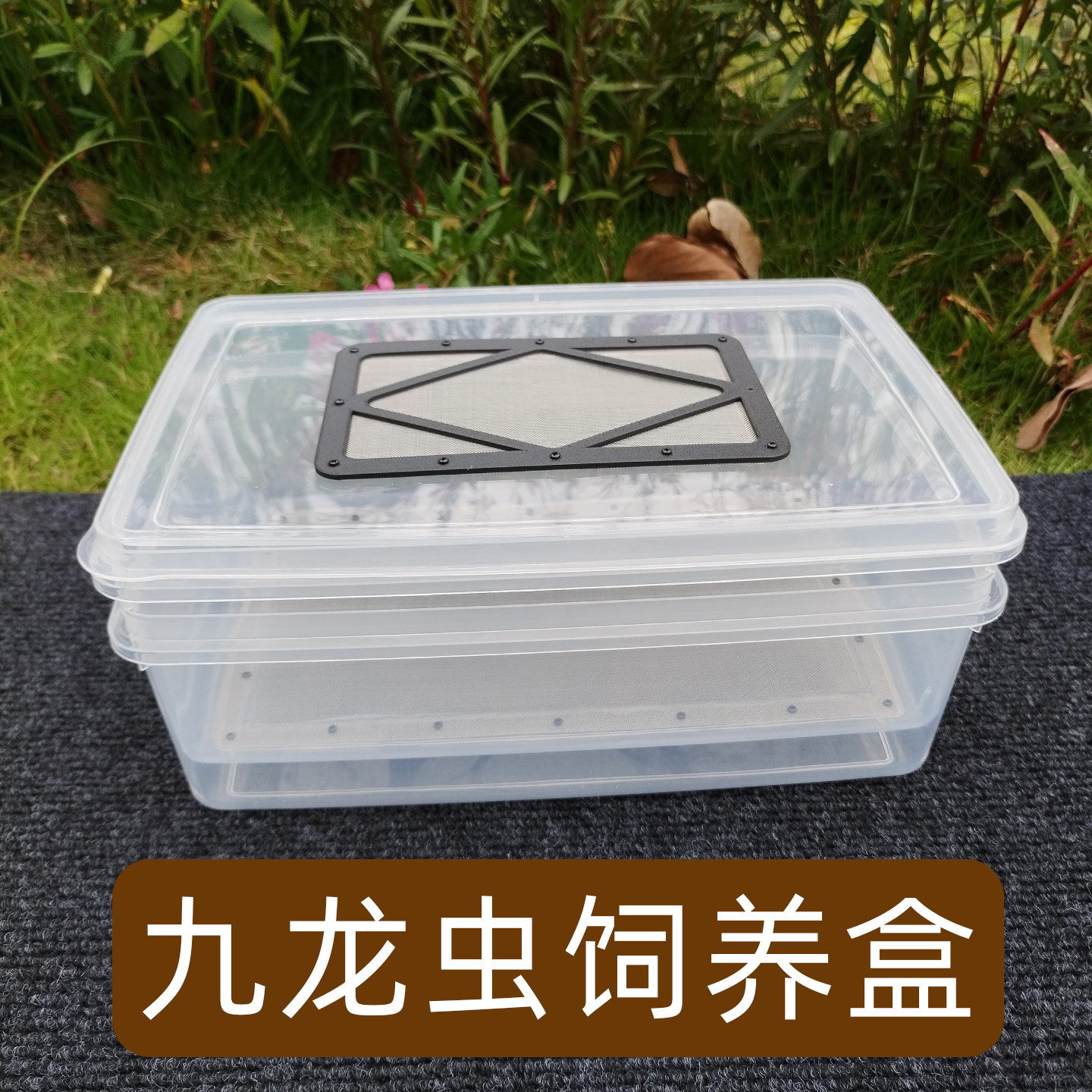 九龙虫饲养盒双层繁殖盒过滤粪便