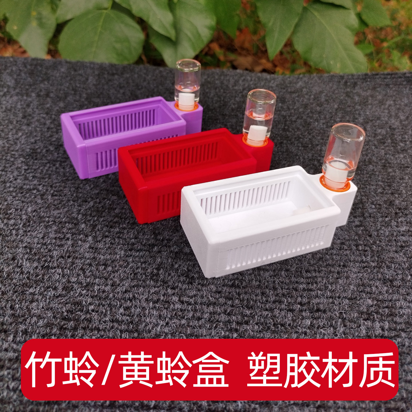 蛉子盒新款鸣虫盒 带保湿竹蛉黄蛉盒塑料饲养观赏盒子蛉虫用具