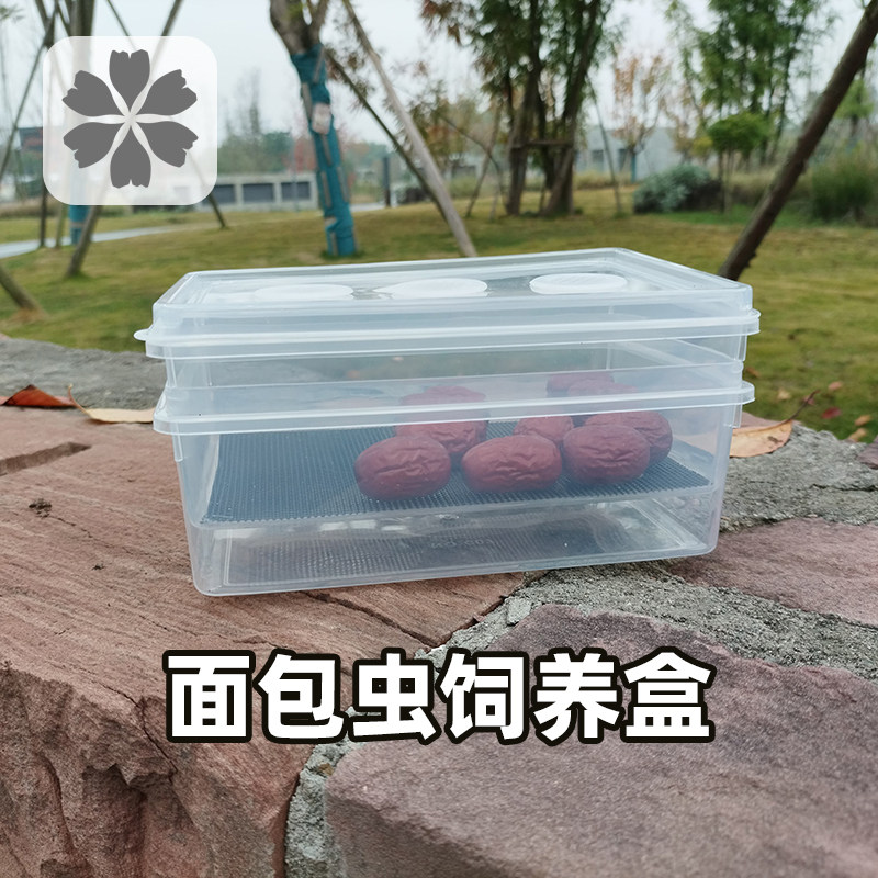大麦虫养殖盒滤屎饲养箱