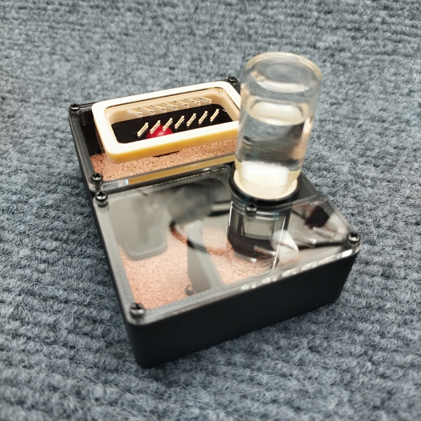 小型蚂蚁巢平面石膏巢迷你