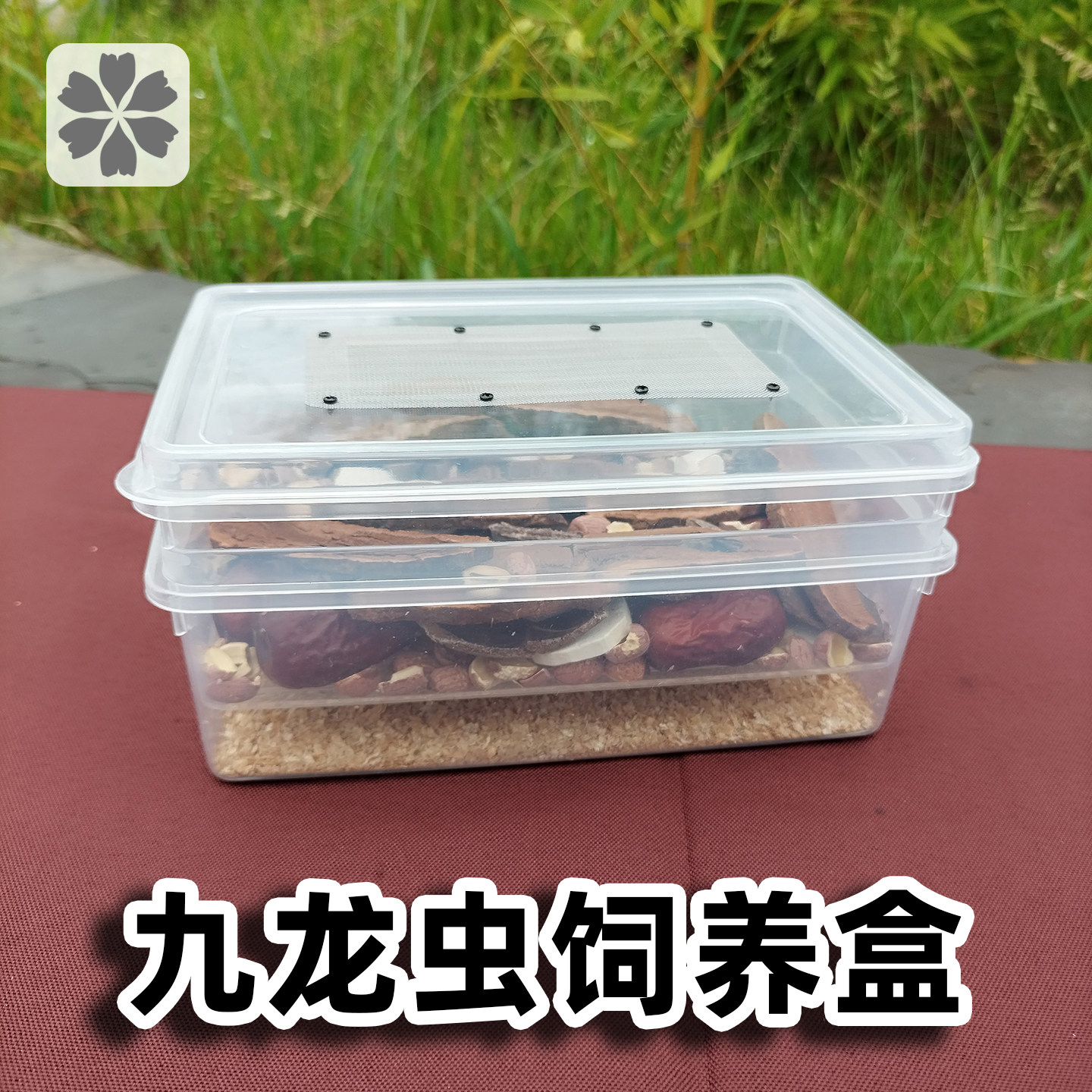 九龙虫养殖盒洋虫专用饲养盒
