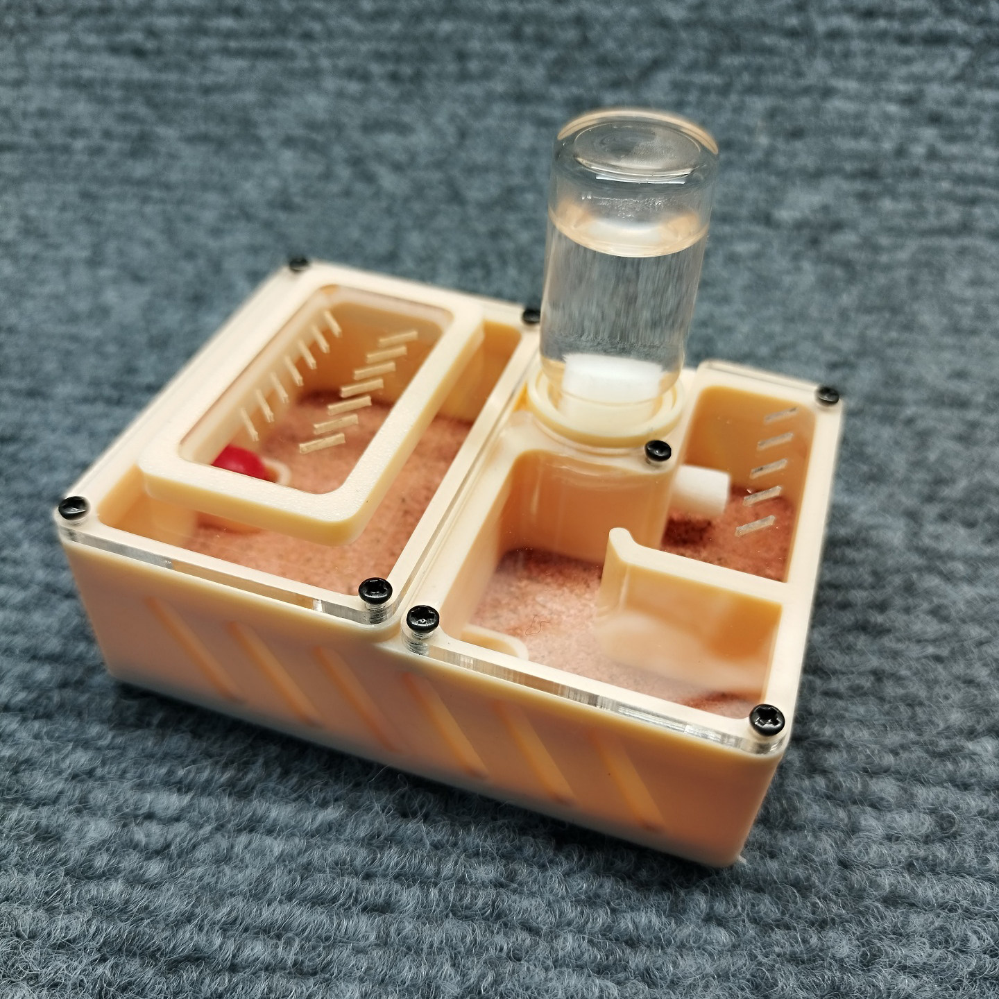 空气保湿平面石膏蚂蚁巢 小型迷你饲养盒 3D 打印新后蚂蚁巢