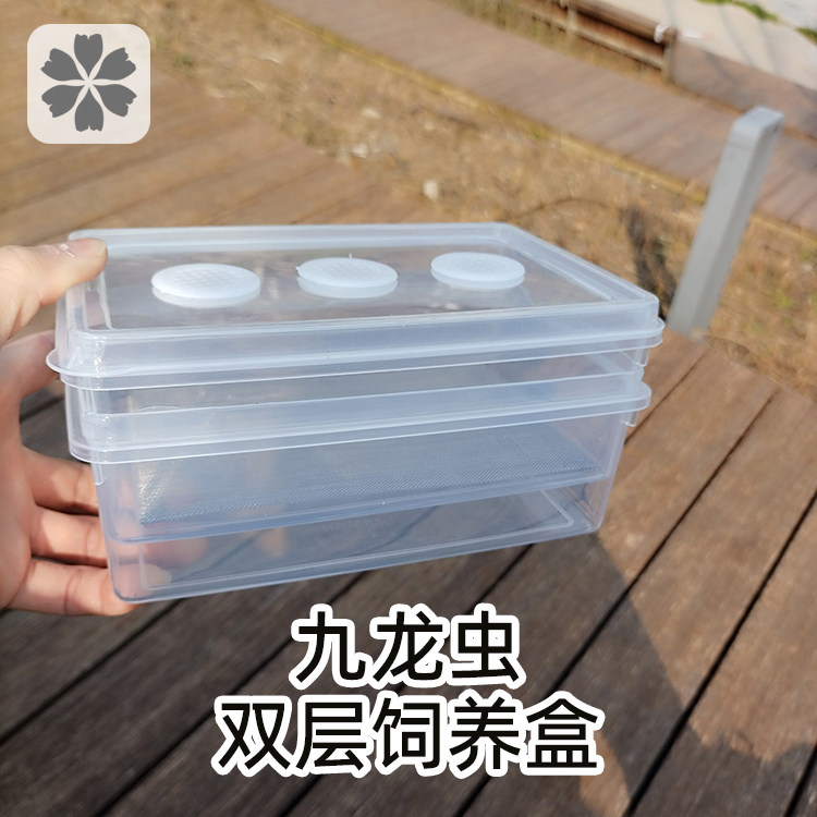 洋虫饲养盒子九龙虫养殖盒