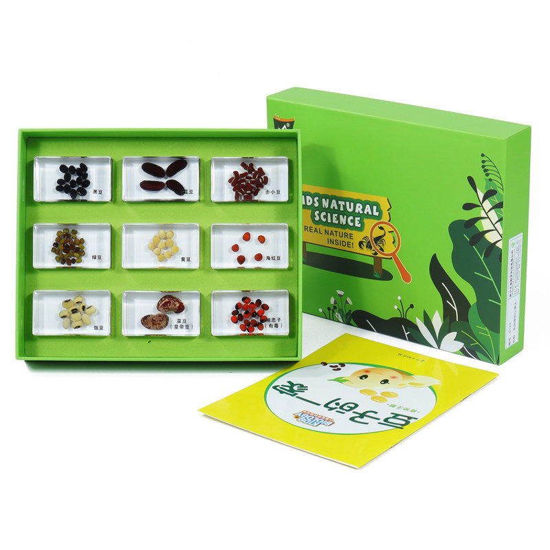 豆子的一家千帆幼儿早教园儿童科学实验室昆虫科普包埋标本