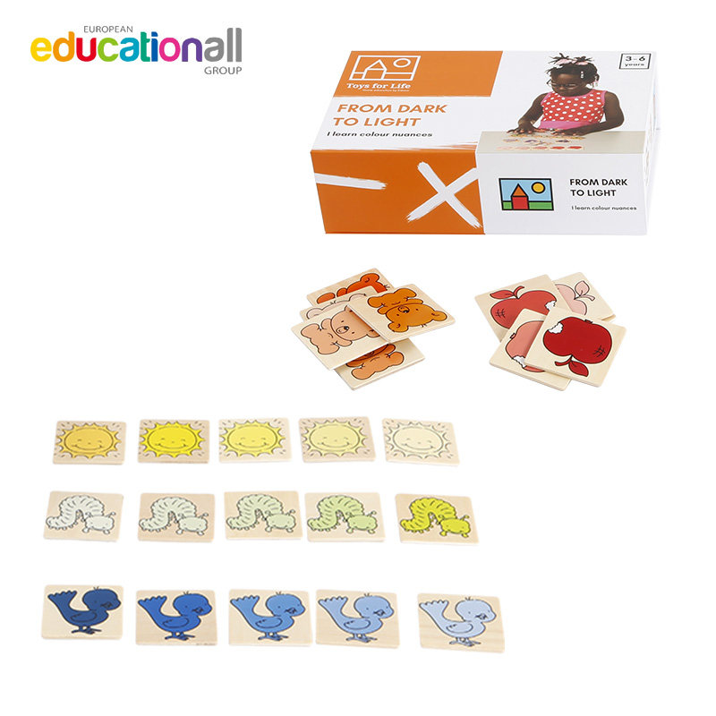 排序-由深到浅精华版toys for life幼儿园儿童颜色识别训练玩具