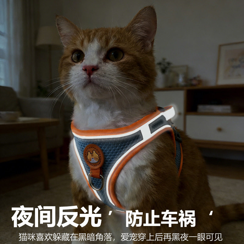 猫咪牵引绳防挣脱专用小
