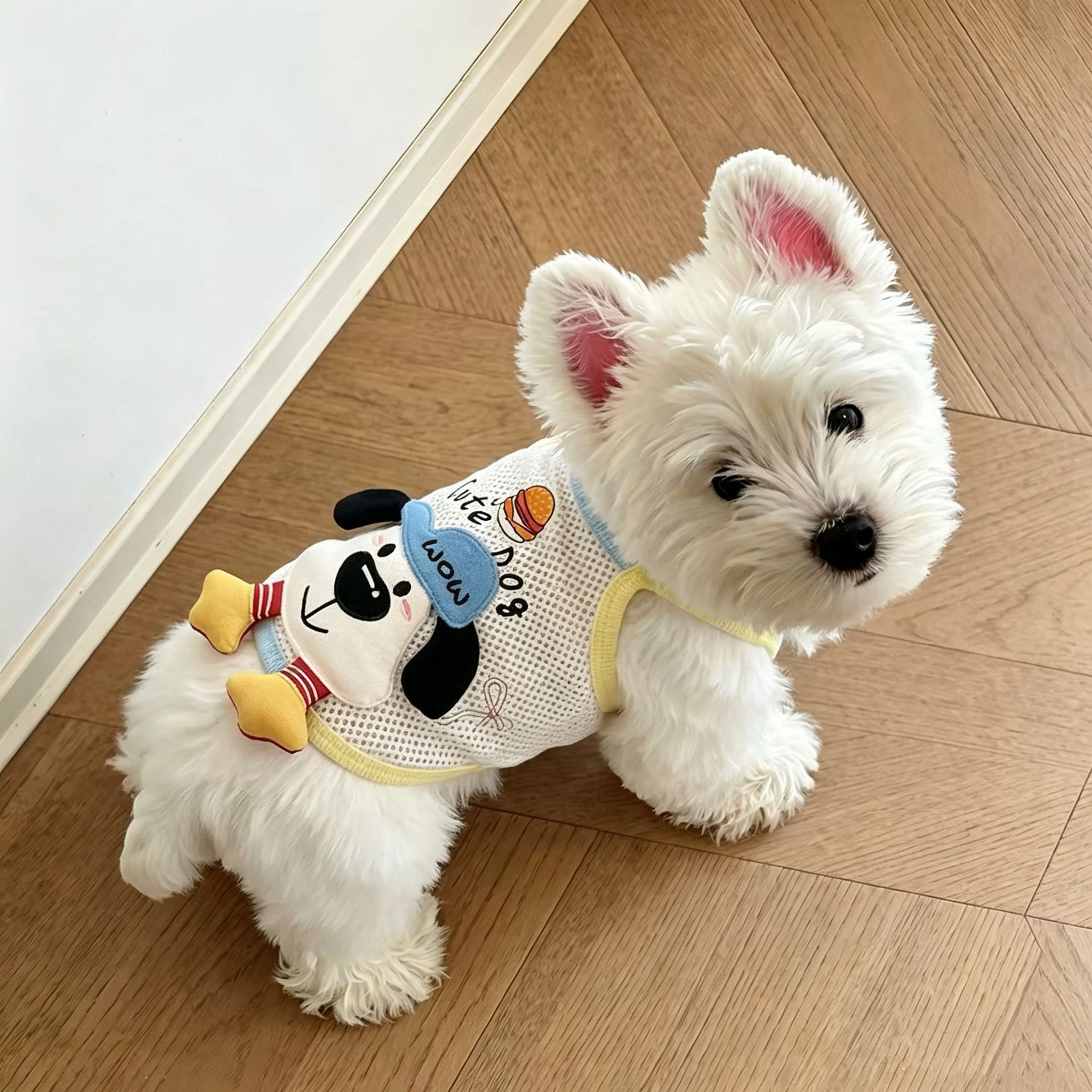 薄款小狗狗衣服夏季可爱