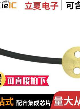 SN164传感器，变送器 〔PT1000TG7/0, TEMPERATURE PROBE 〕