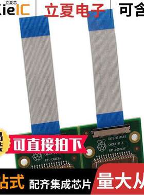 CM1 ADAPTORS开发板 〔COMPUTE MODULE 1 ADAPTER BOARDS 〕