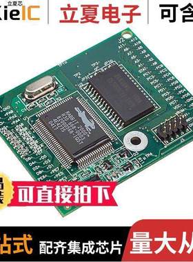 20-101-0383芯片 〔IC MOD RABBIT 2000 18.432MHZ 〕