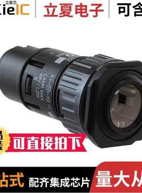 61-0000.02光电元件 〔INDICATOR FLUSH MOUNTING NEUTRAL 〕