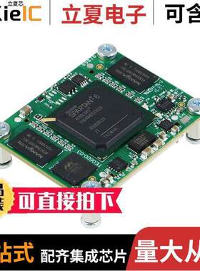 TE0600-03I芯片 〔IC MOD SPARTAN-6 125MHZ 256MB 〕
