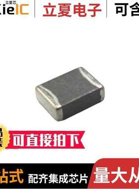 BBPY00321611300Y00滤波器 〔EMI BEAD FILETER 〕