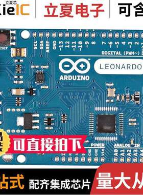 A000052开发板 〔ARDUINO LEONARDO W/OUT HDRS 〕