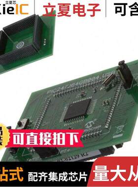 MA240019开发板 〔MODULE PLUG-IN PIC24FJ64GB004 〕