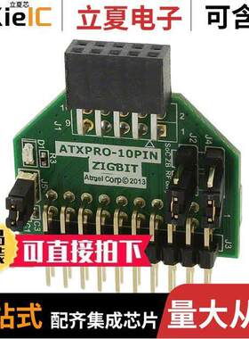 ATXPRO-10PIN开发板 〔XPRO-10PIN 〕