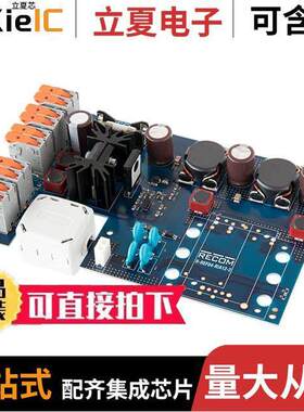 R-REF04-RIA12-1开发板 〔R-REF04-RIA12-1 REFERENCE DESIGN 〕