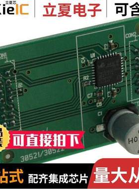 AM305212R1DBGEVB开发板 〔BOARD DAUGHTER SPI STEP DVR NQFP 〕