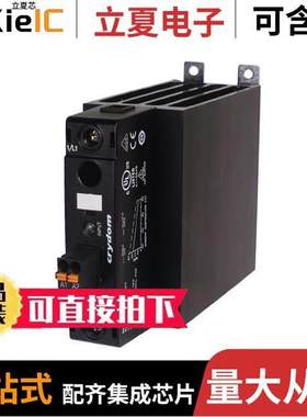 DR4560D45R继电器 〔SSR RELAY SPST-NO 45A 48-600V 〕