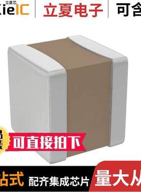 VJ0505D470JXPAJ电容 〔CAP CER 47PF 250V C0G/NP0 0505 〕