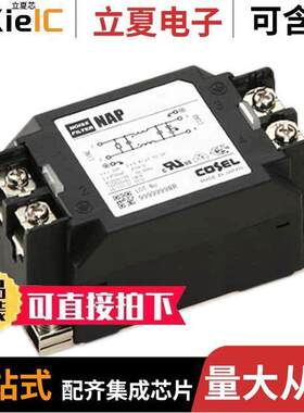 NAP-10-101滤波器 〔LINE FILTER 250VDC/VAC 10A CHAS 〕