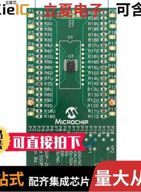 MCP42XXEV开发板 〔BOARD EVALUATION MCP42XX 〕