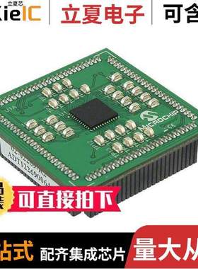 MA320011开发板 〔MODULE PLUG-IN PIC32MX250F128D 〕