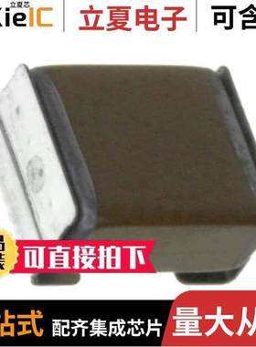 【G57KX7T2W105K335JH电容 〔CAP CER 1UF 450V X7T SMD 〕