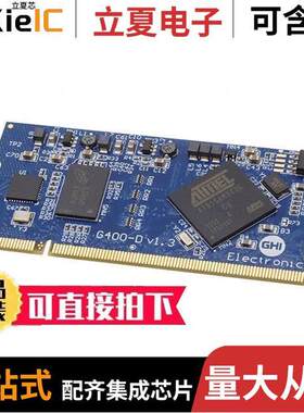G400D-SM-400芯片 〔IC MOD ARM926EJ-S 400MHZ 32KB 〕