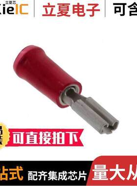 165565-2连接器 〔CONN FASTON PIGD RCPT 110 SER 〕