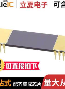 ISO106B芯片 〔IC OPAMP ISOLATION 1 CIRC 16CDIP 〕