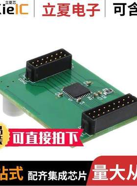 AM305321R1DBGEVB开发板 〔BOARD DAUGHTER LIN STEP DVR NQFP 〕