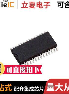 MSP430F122IDW芯片 〔IC MCU 16BIT 4KB FLASH 28SOIC 〕