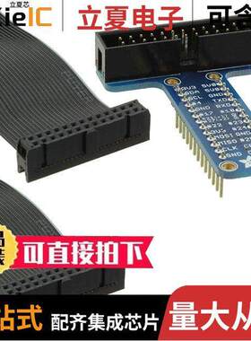 1754开发板 〔BREAKOUT PI T-COBBLER RASPBERRY 〕