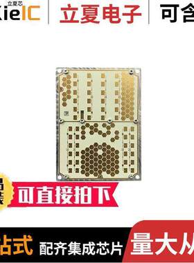 80.00000361传感器，变送器 〔ISYS-5020 RADAR MODULE 〕