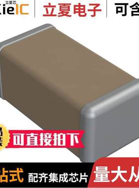 2211YA250222KETSPU电容 〔CAP CER 2200PF 250V X7R 2211 〕