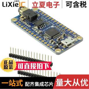 WAV OGG TRIG 2220开发板 HDPHN BRD 16MB 〕 〔SND