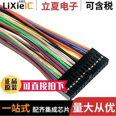 310-100开发板 〔ANALOG DISCOVERY 2X15 CABLE 〕