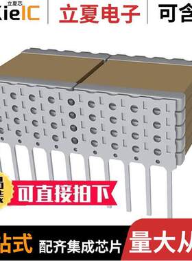 L1GN30G204KA10电容 〔CAP CER 0.2UF 2KV C0G/NP0 20LEAD 〕