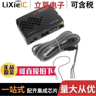 LX60_1104572 MANGOHRYELLOW_BASIC LX60_1104580