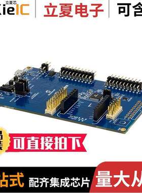 DM320205开发板 〔SAM L11 XPLAIND PRO ATSAML11E16A 〕