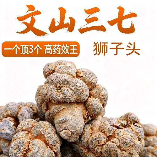 正宗文山三七狮子头10头20头30头