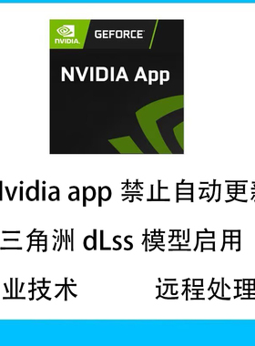 Nvidia app禁止更新三角洲模型dlss启用英伟达