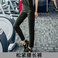 Женская сосна плотные брюки для пота