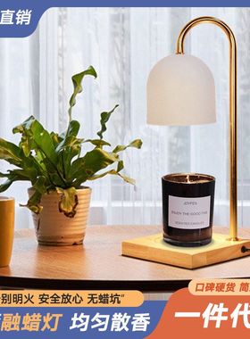 原木香薰融蜡灯蜡烛精油可调光融烛台灯卧室香薰炉融燭燈亚马逊