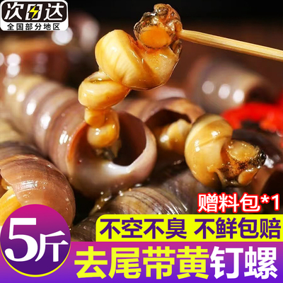 钉螺鲜活去尾大号海螺锥螺5斤捞汁小海鲜麻辣钉螺新鲜水产商用