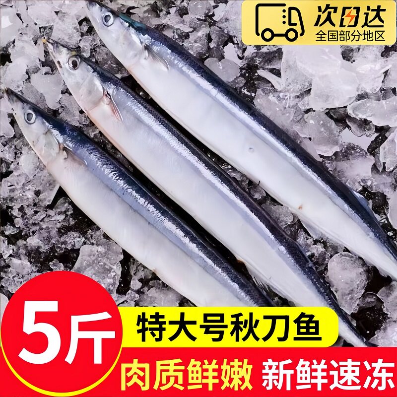 特大号深海秋刀鱼新鲜冷冻烧烤