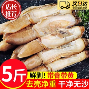 蛏王肉新鲜冷冻大个带黄蛏子肉海鲜水产鲜活去壳圣王肉竹蛏肉贝类
