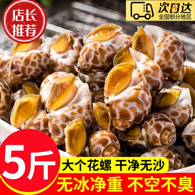 花螺鲜活新鲜海螺特大号海鲜水产鲜活鲜冻冷冻东风螺特大花螺贝类